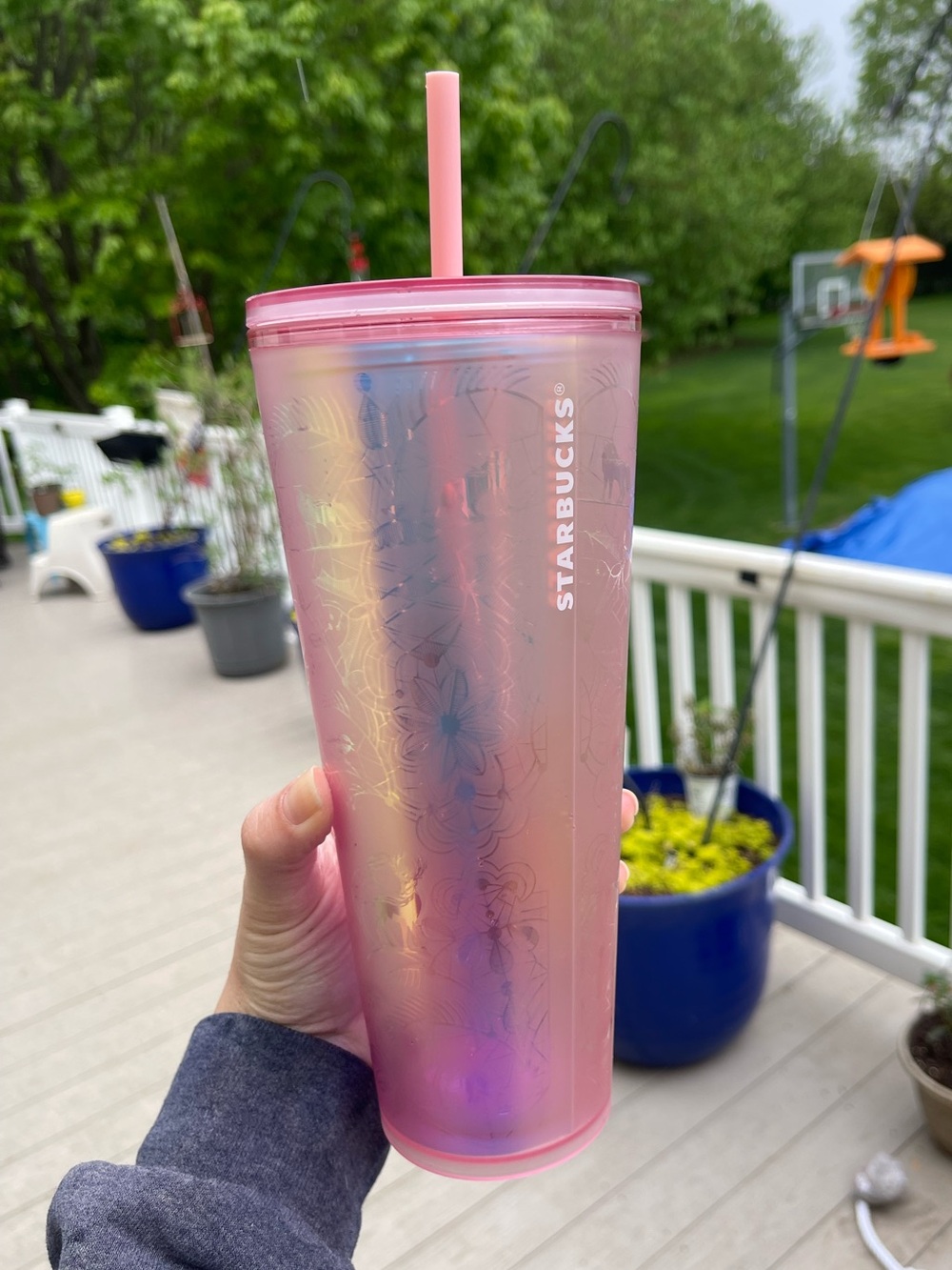 Starbucks 2022 Pink Winter Cup